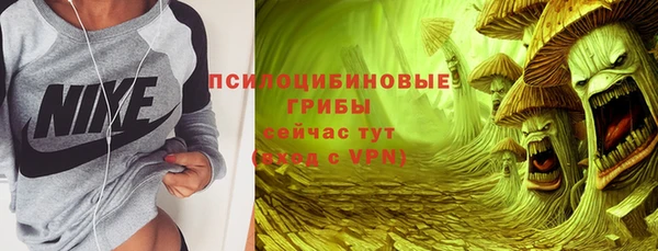 МДПВ Абинск