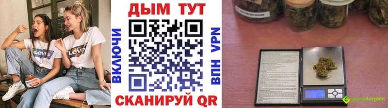 Бошки Шишки ГИДРОПОН  Агидель 